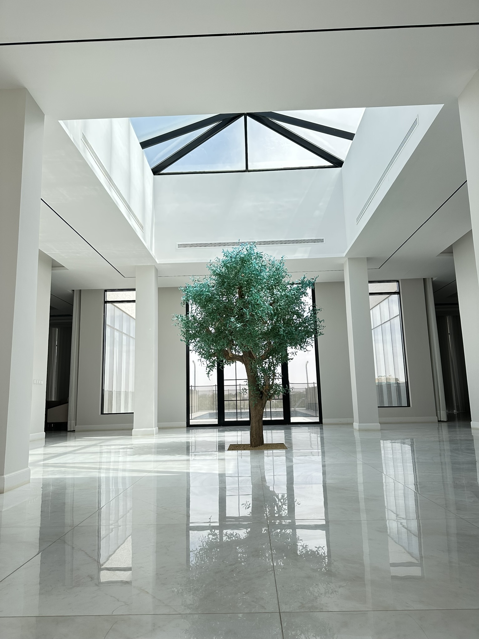 Al Muzahmiyah Private Farm – Premium Curtain Wall, Skylight & Smart Aluminium Doors - 3